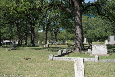 Dallas Texas,  Pioneer Park Cemetery