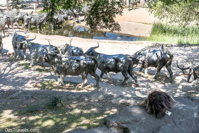 Dallas Texas, Pioneer Plaza, Shawnee Trail Cattle Drive Sculpture, Cattle Drive Sculpture, Robert Summers