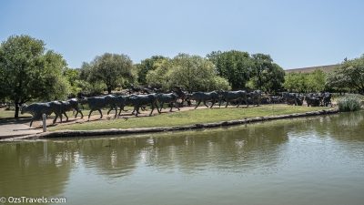 Dallas Texas, Pioneer Plaza, Shawnee Trail Cattle Drive Sculpture, Cattle Drive Sculpture, Robert Summers