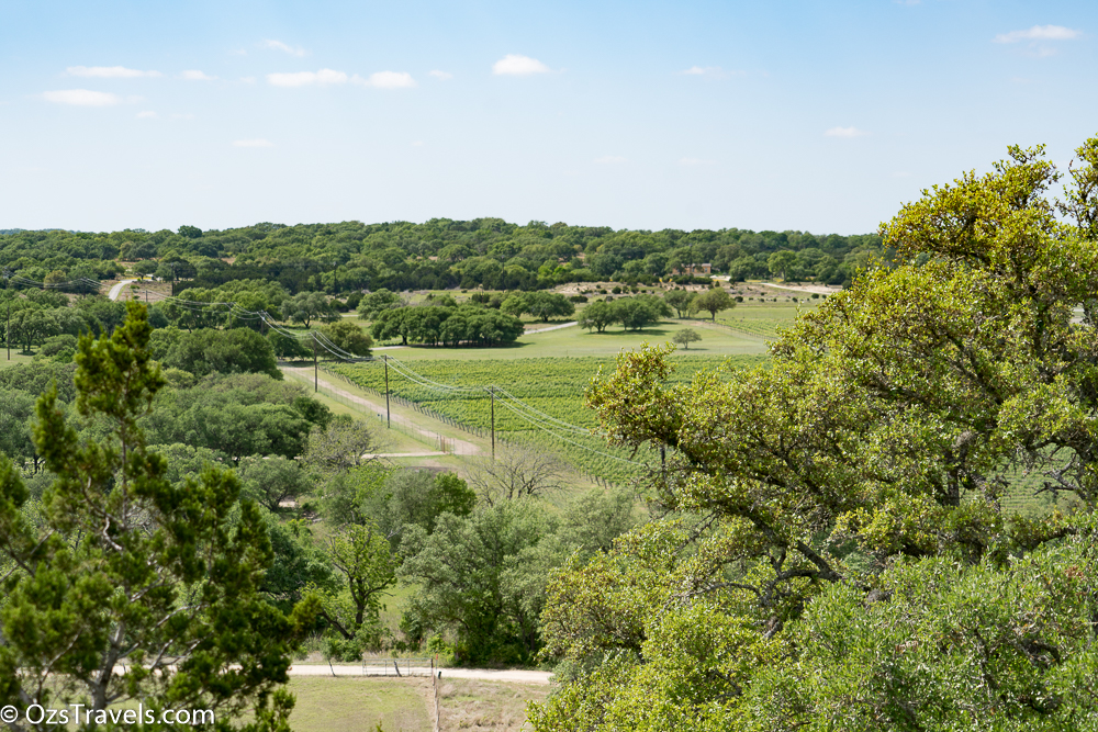 Driftwood Estate Winery,  Texas Hill Country,