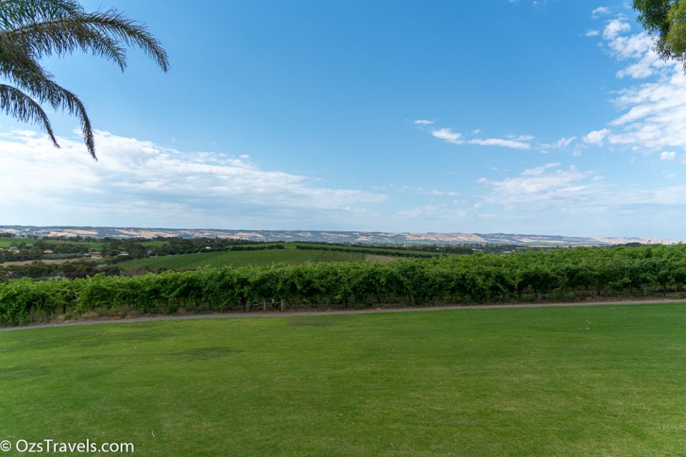 Oz's Winery Reviews, Oz's Wine Reviews, Mollydooker Wines, McLaren Vale South Australia