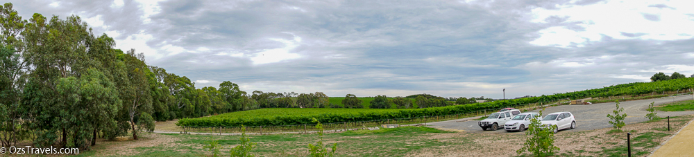 Mitolo Wines, McLaren Vale South Australia, 
