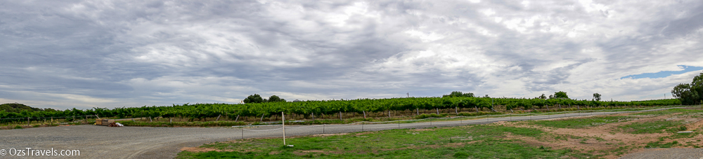 Mitolo Wines, McLaren Vale South Australia, 