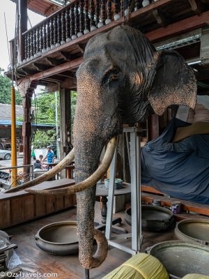 Sri Lanka, Colombo Sri Lanka, Tuk Tuk Safari Colombo Sri Lanka, Tuk Tuk Safari Sri Lanka, Tuk Tuk Safari