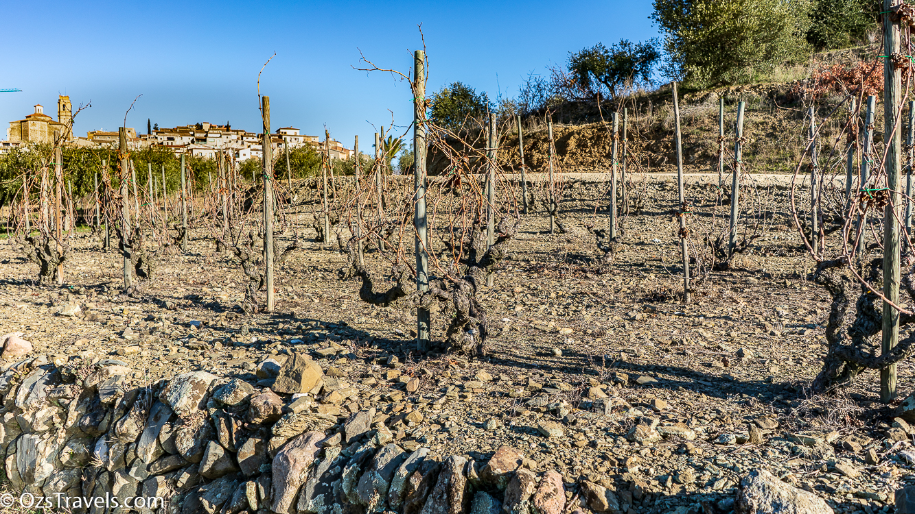 Priorat, Clos Mogador, Wine, Wineries, Priorat Spain, Spain